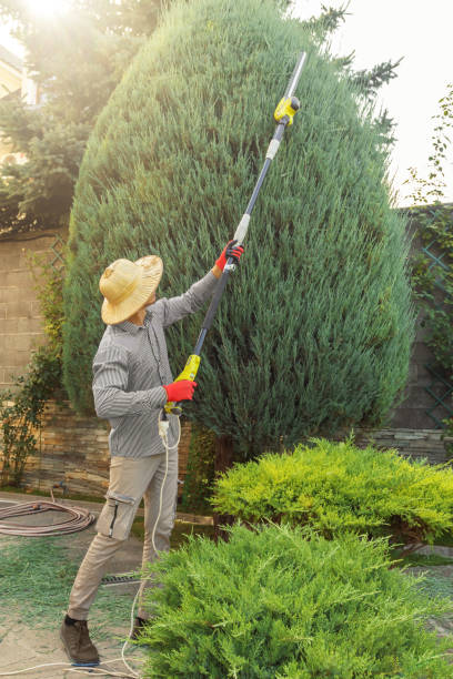 Best Tree Trimming Near Me  in Seat Pleasant, MD